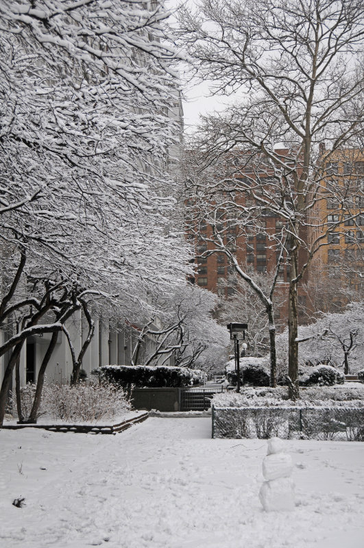 Winter Snow