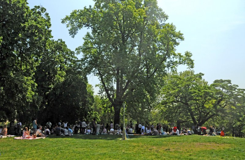 Brooklyn Waldorf School May Day