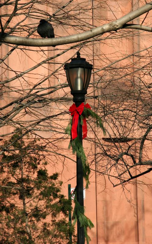 Holiday Decoration & NYU Library