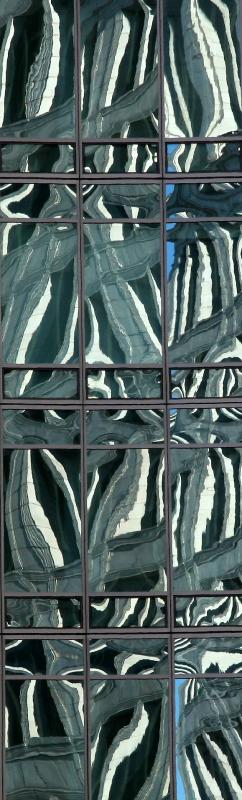 Glass Tower Reflections