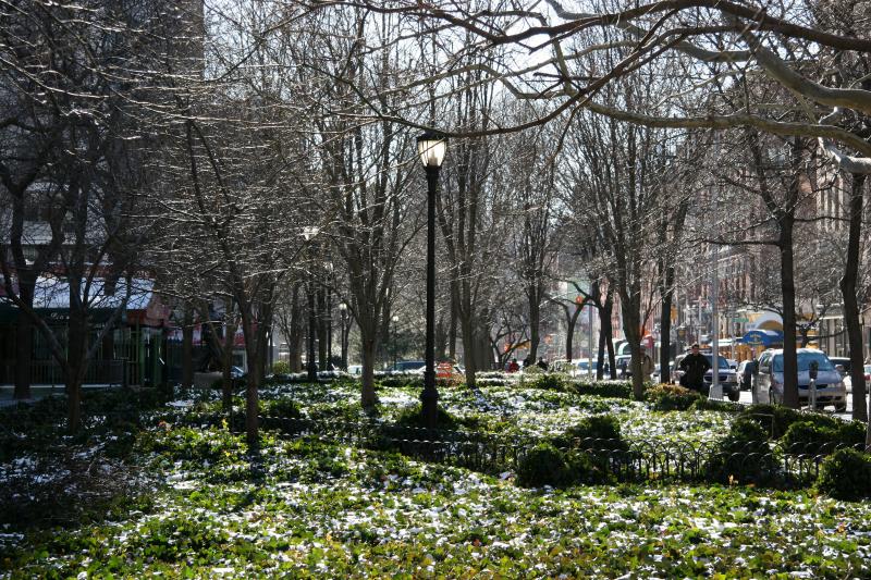 LaGuardia Place Garden