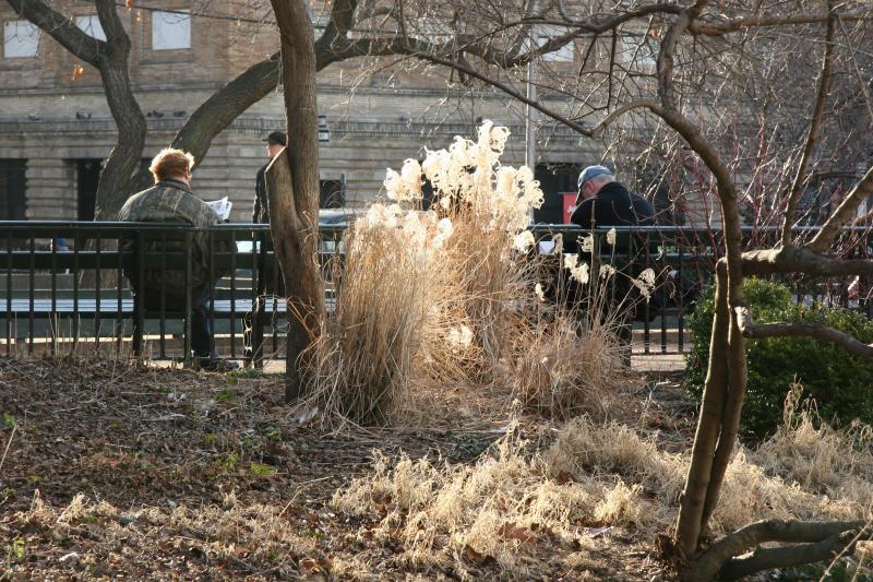 Winter Garden