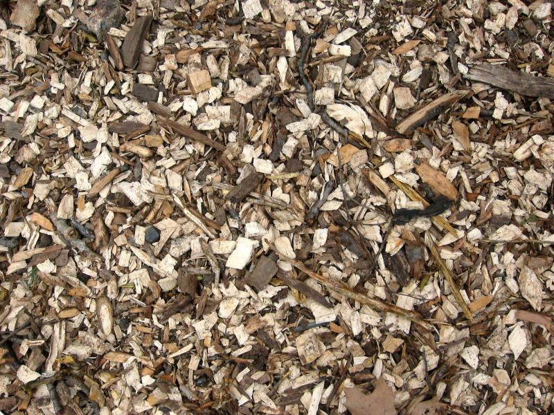 Wood Chips