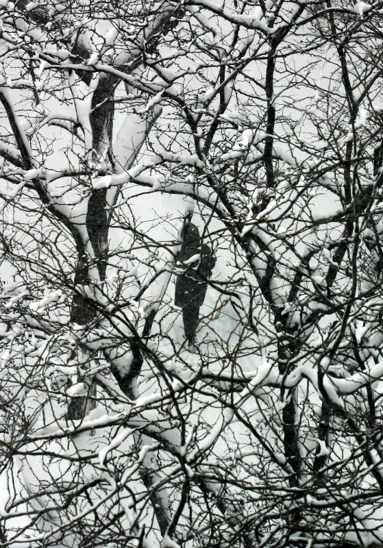 Blizzard of 06