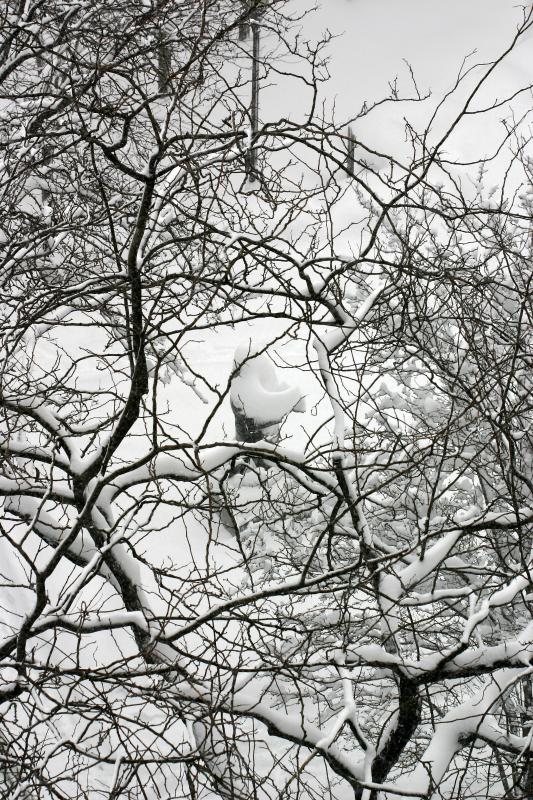 Blizzard of 06