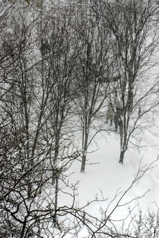 Blizzard of 06