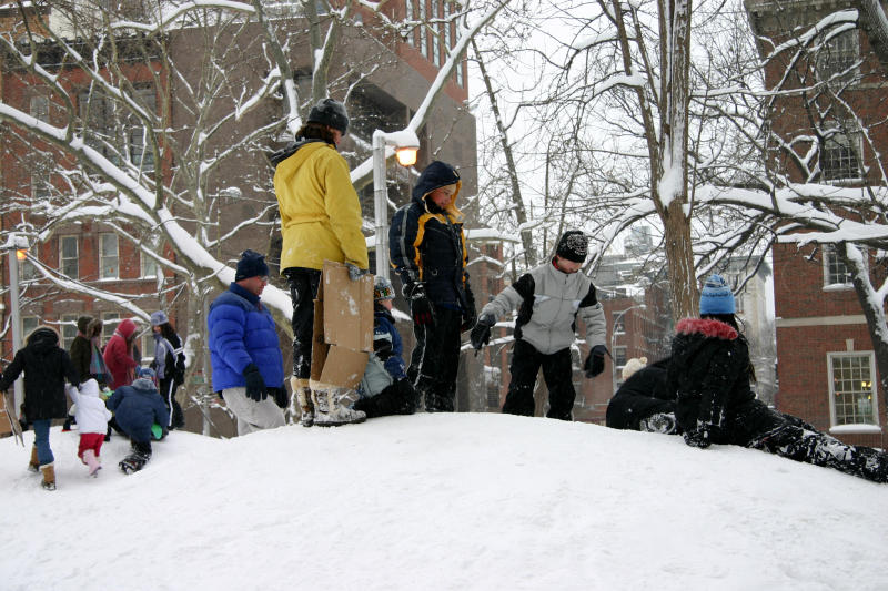 Childrens Playground Mounds