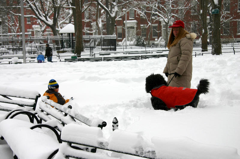 Play in the Snow - Northeast View