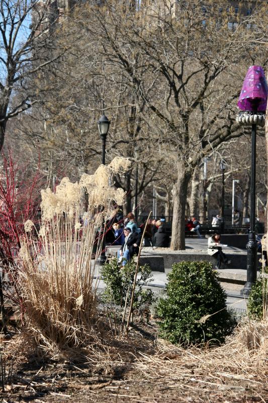 Winter Garden