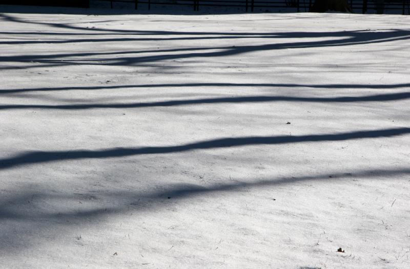 Snow over the Grass