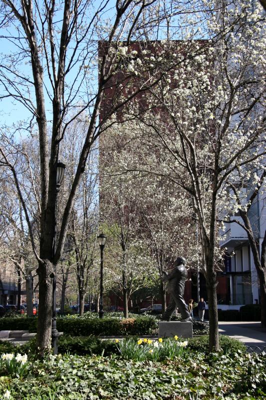 Garden View - Pear Trees