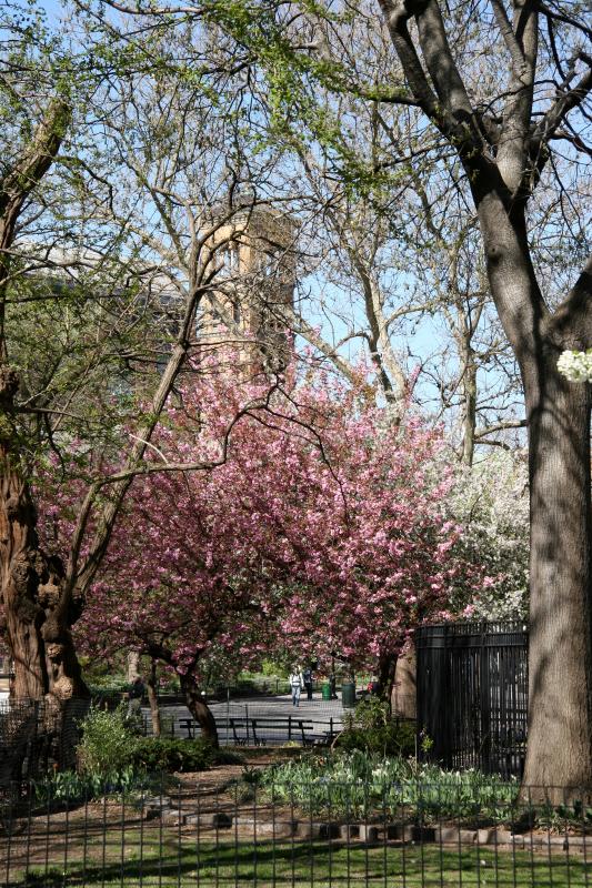 Childrens Playground & Judson Church