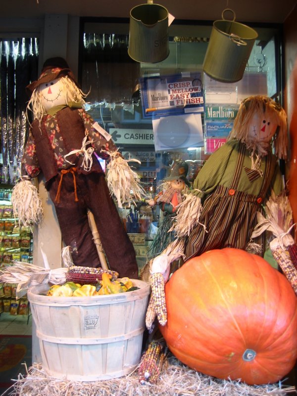 Space Market Harvest