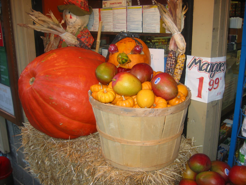 Space Market Harvest