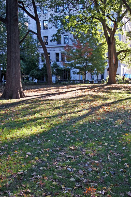 NYU Main Building
