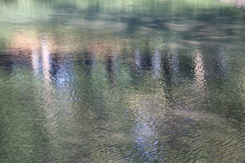 Pond Reflections