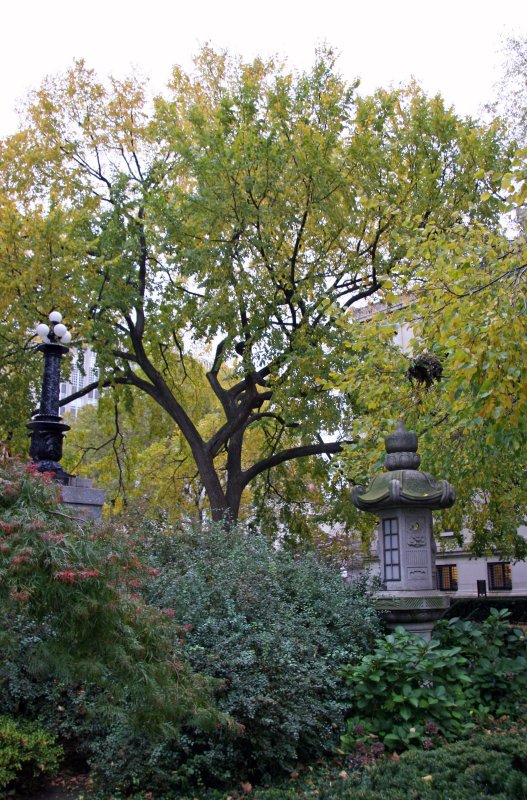 View near Earl Hall