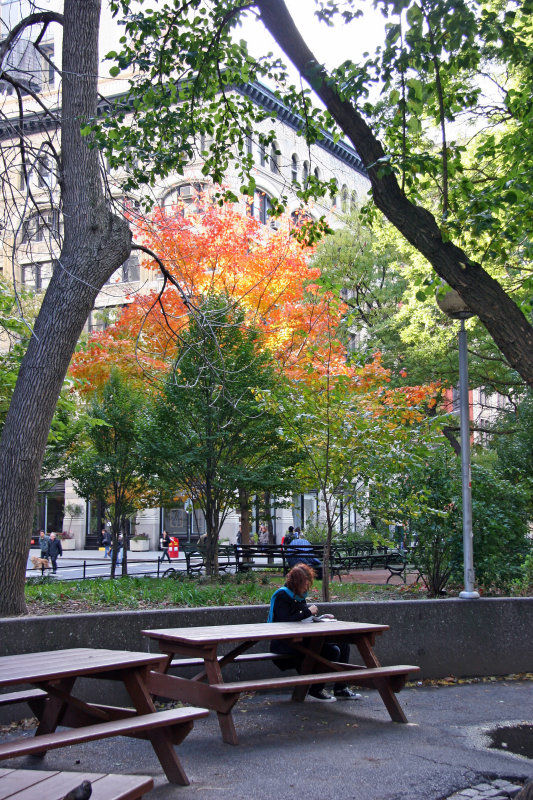 Park View