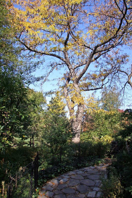 Shakespeare Garden Area