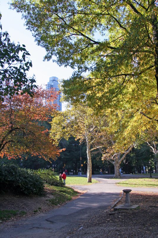 Fall Foliage - Central Park South
