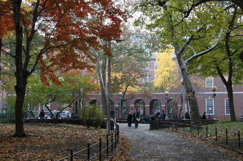 Park View - NYU Law School