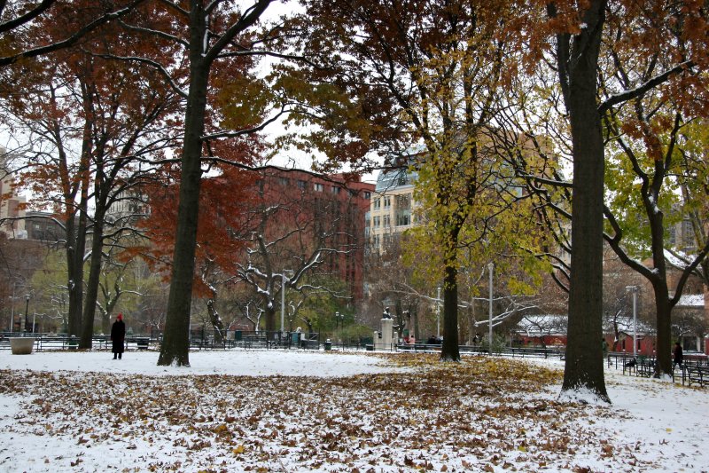 Southeast View - NYU Library & Student Center