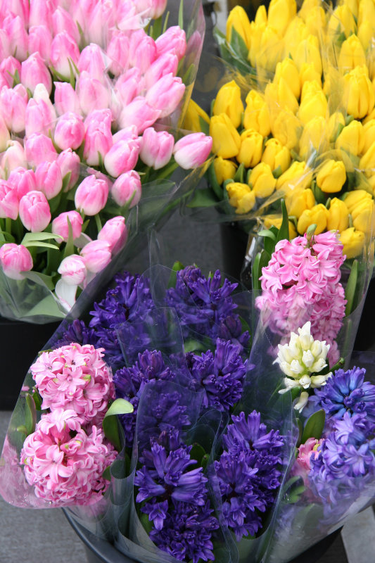 Street Florist Spring Flower Display