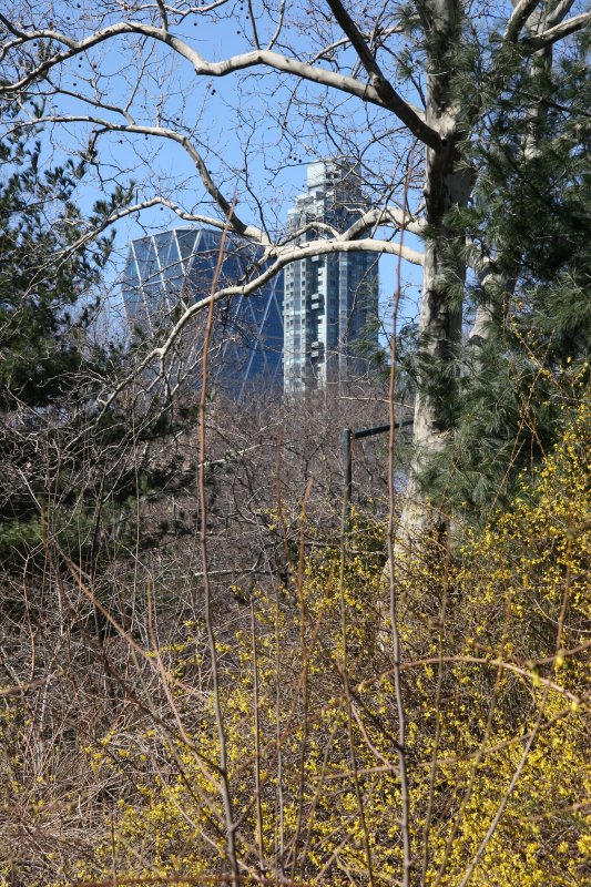 Park & CPW Skyline View near 65th Street Traverse Road