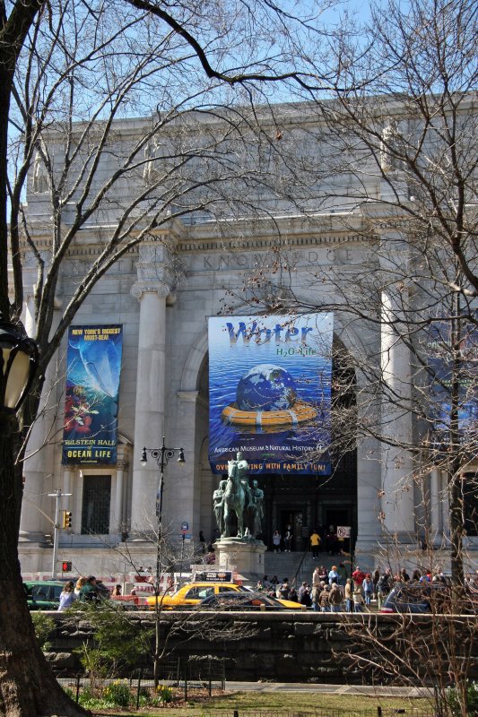 Museum of Natural History from the Park