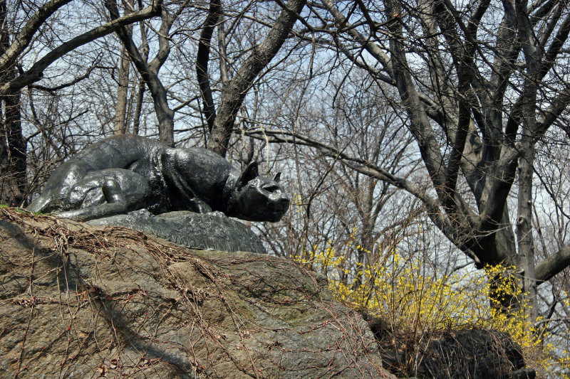 Stalking Cat on Hill North of the Boathouse