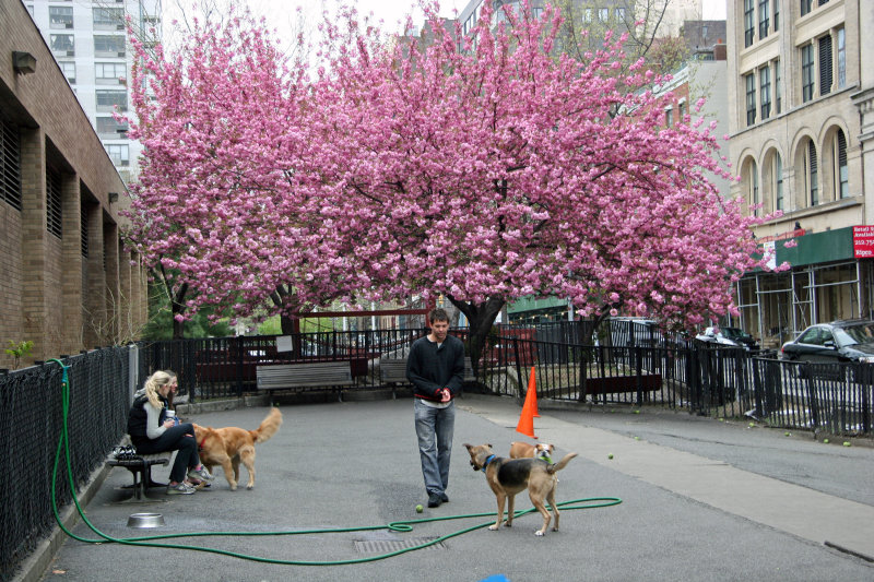 Mercer/Houston Street Dog Run