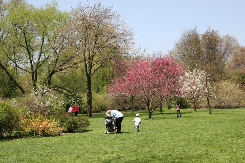 Grounds View