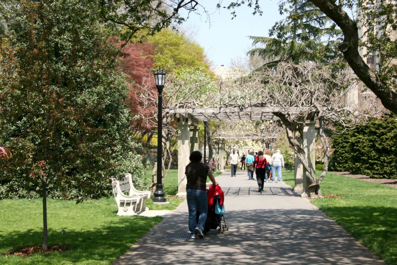 Wisteria Arcade - Entrance Garden