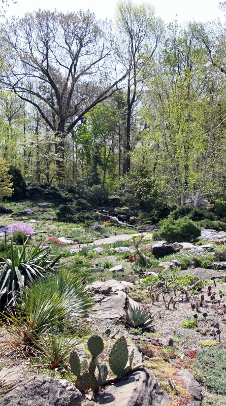 Rock Garden