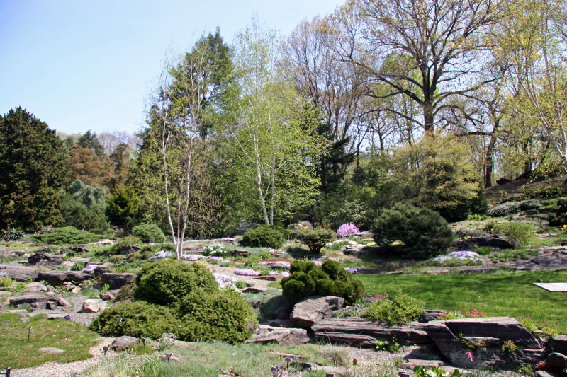 Rock Garden