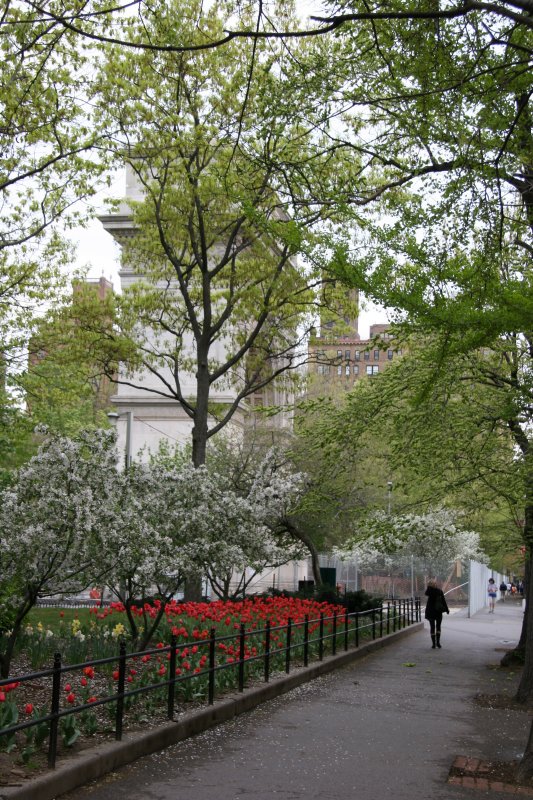 Arch & WSN Garden View