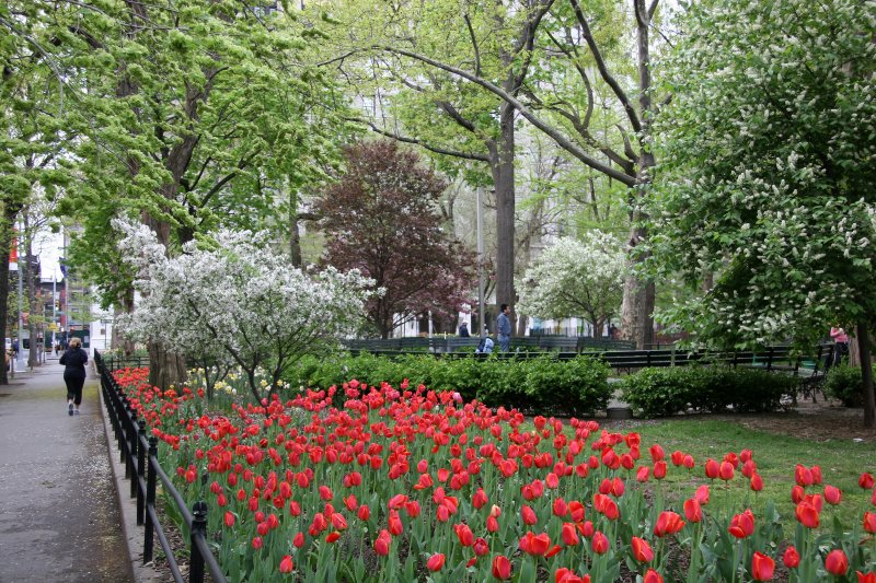 WSN Garden View