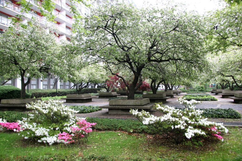 Garden View - Azalea & Crab Apple Trees in Bloom