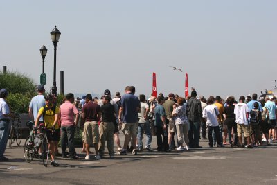 Ellis Island & Statue of Liberty Tour Boat Line