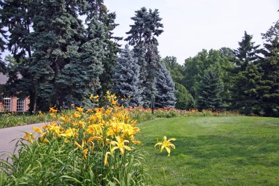 Lilies - Conservatory Gardens