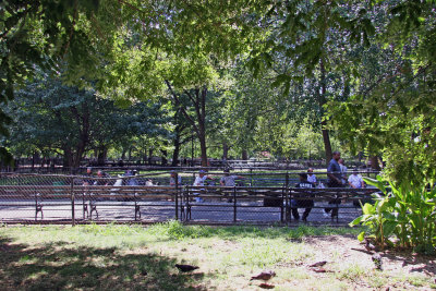 Park View near Avenue A & East 7th Street