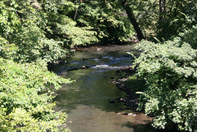 Bronx River