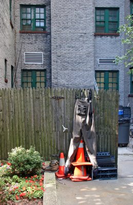 NYU Arts Project