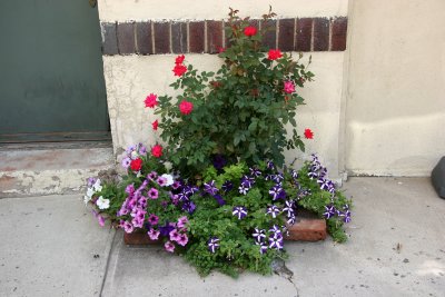 Sidewalk Garden