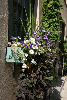 Window Flower Box