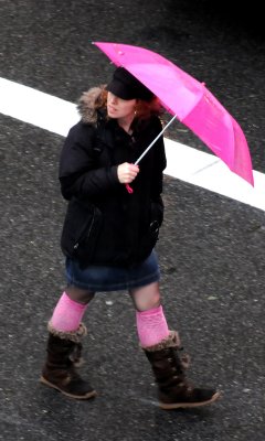 Pink on a Rainy Day