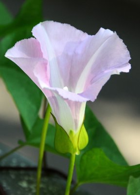 g3/26/411626/3/113543171.Uc3gYwTv.jpg