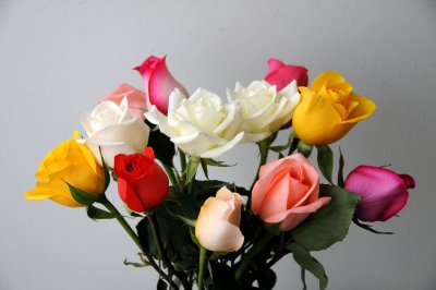 A Dozen Mixed Color Roses