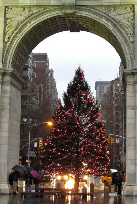 Christmas Tree at the Arch in the Rain
