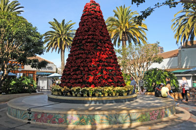 Poinsettia Tree at University Town Center Mall